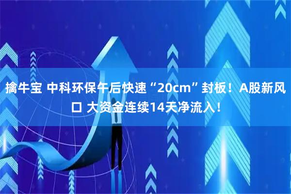 擒牛宝 中科环保午后快速“20cm”封板！A股新风口 大资金连续14天净流入！