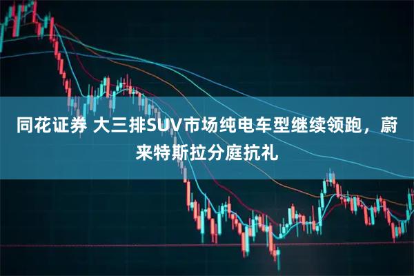 同花证券 大三排SUV市场纯电车型继续领跑，蔚来特斯拉分庭抗礼