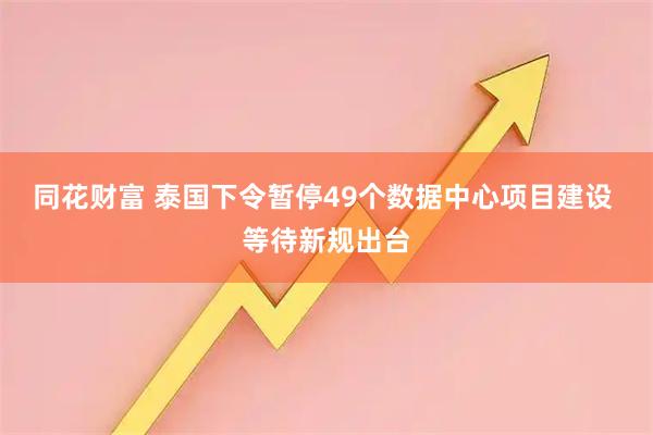 同花财富 泰国下令暂停49个数据中心项目建设 等待新规出台